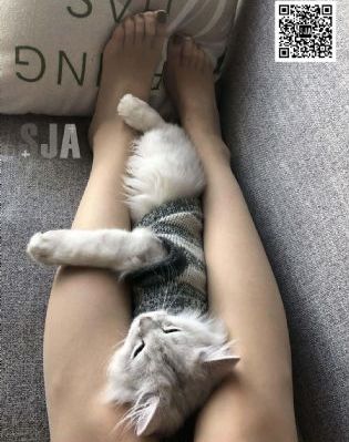 生活万岁演员表